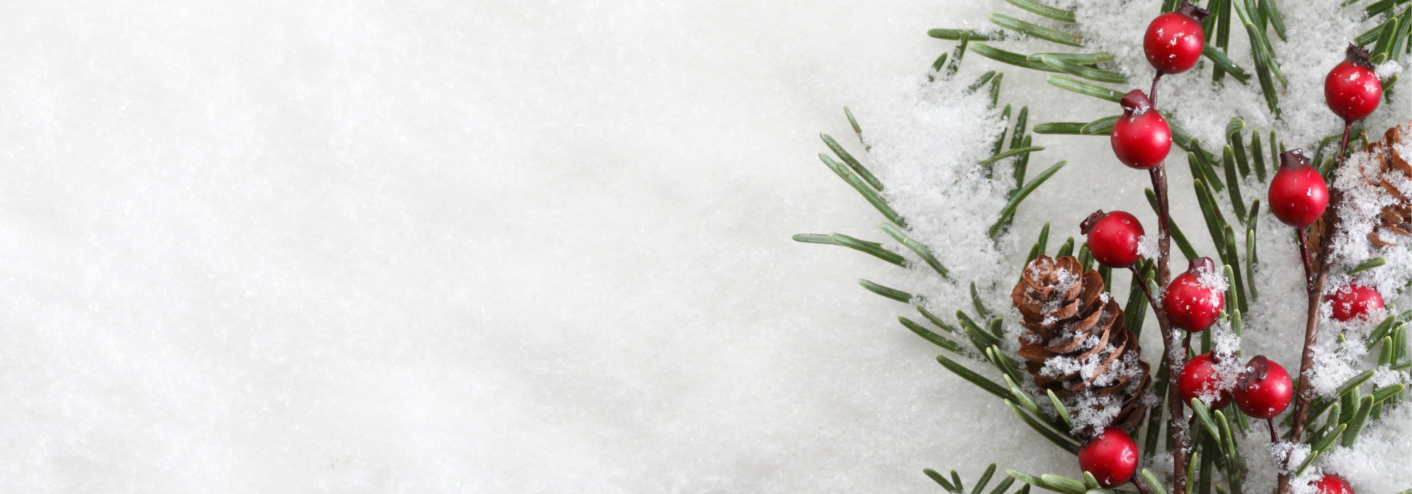 Design ohne Titel (10)